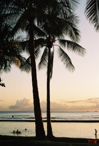 Waikiki Beach